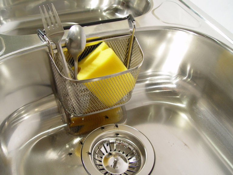 drain flies near kitchen drain need Houston residential plumber