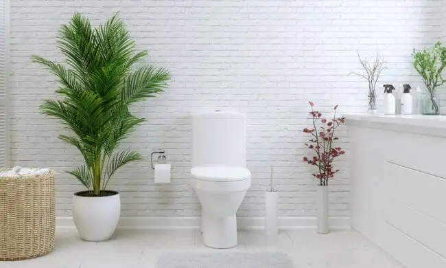 clean serene white bathroom after Houston toilet repair