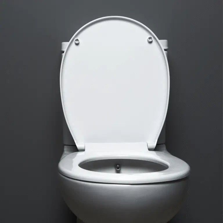 The most common toilet repair solution is a toilet flange repair.