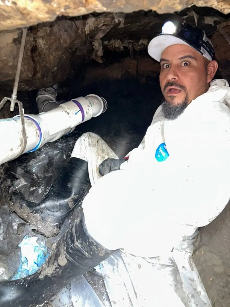 sewer repair